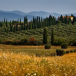 Tenuta Di Poggio Cavallo Casa rural